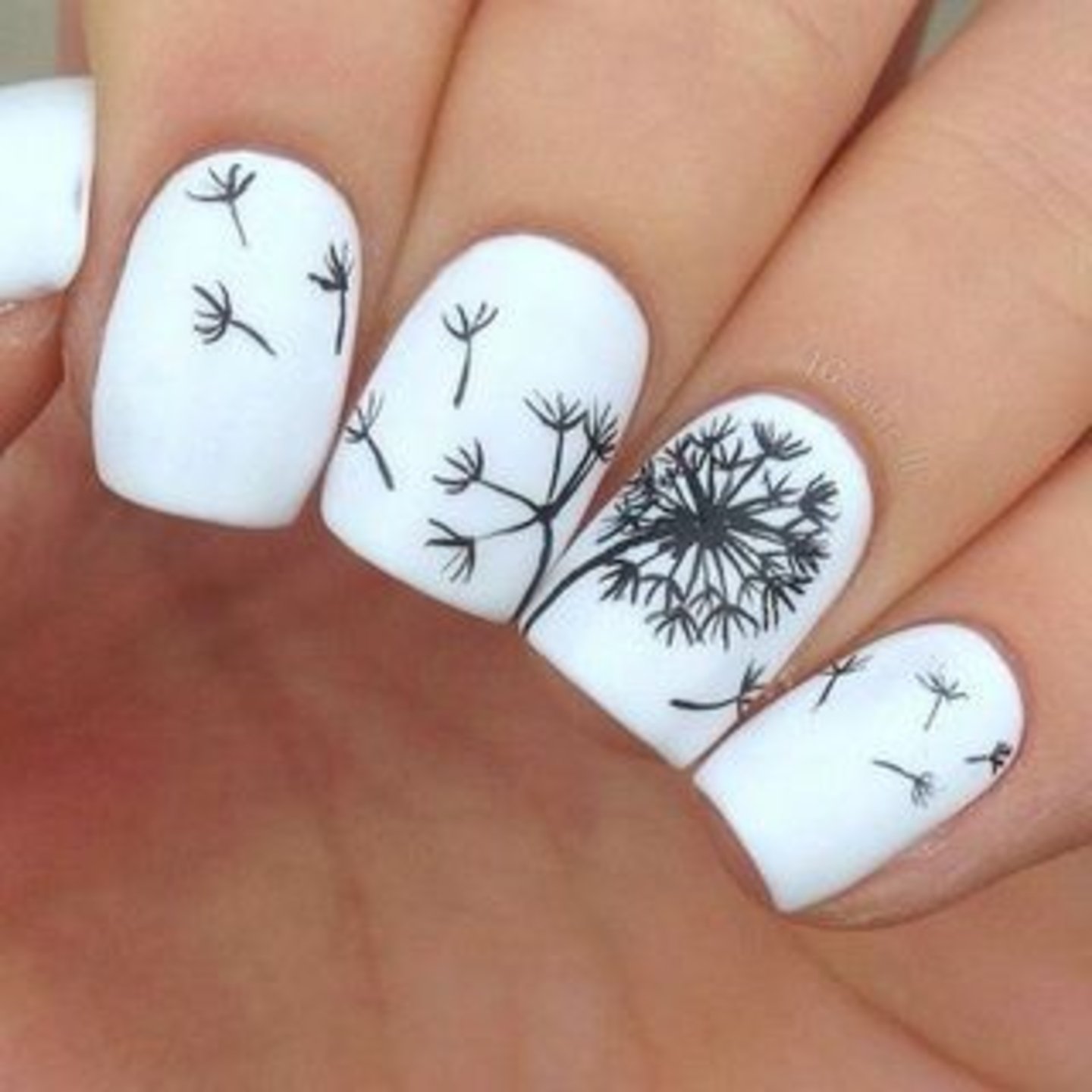 manicura flores blanco y negro
