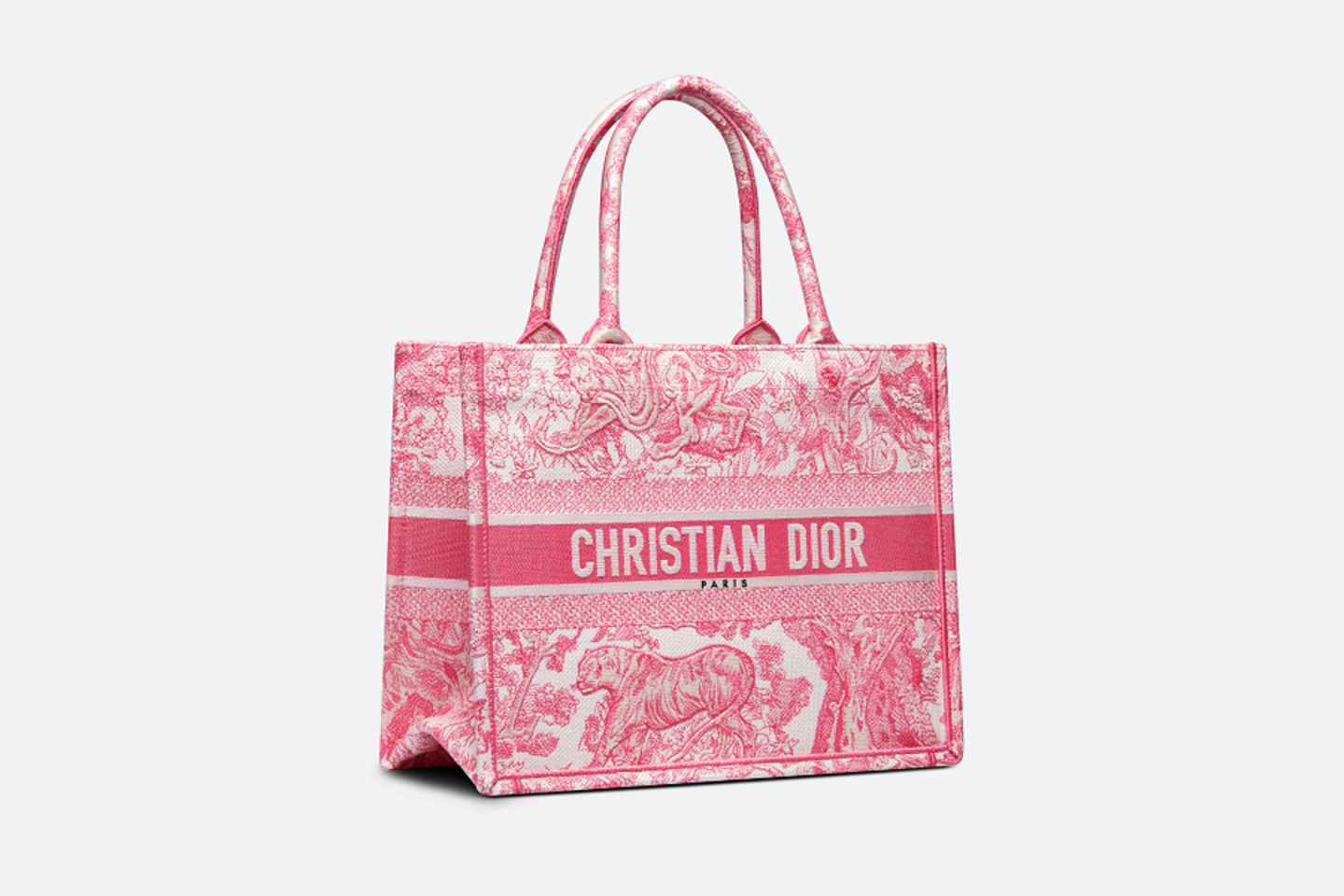 bolso tote christian dior