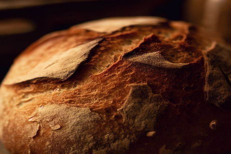 Cómo hacer pan sin gluten y sin lactosa