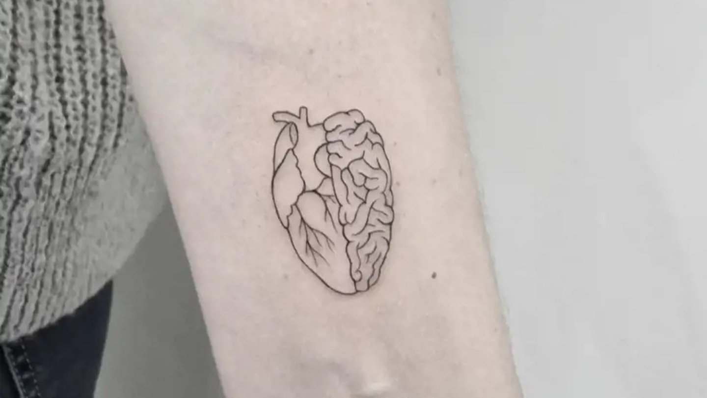 Corazón y cerebro