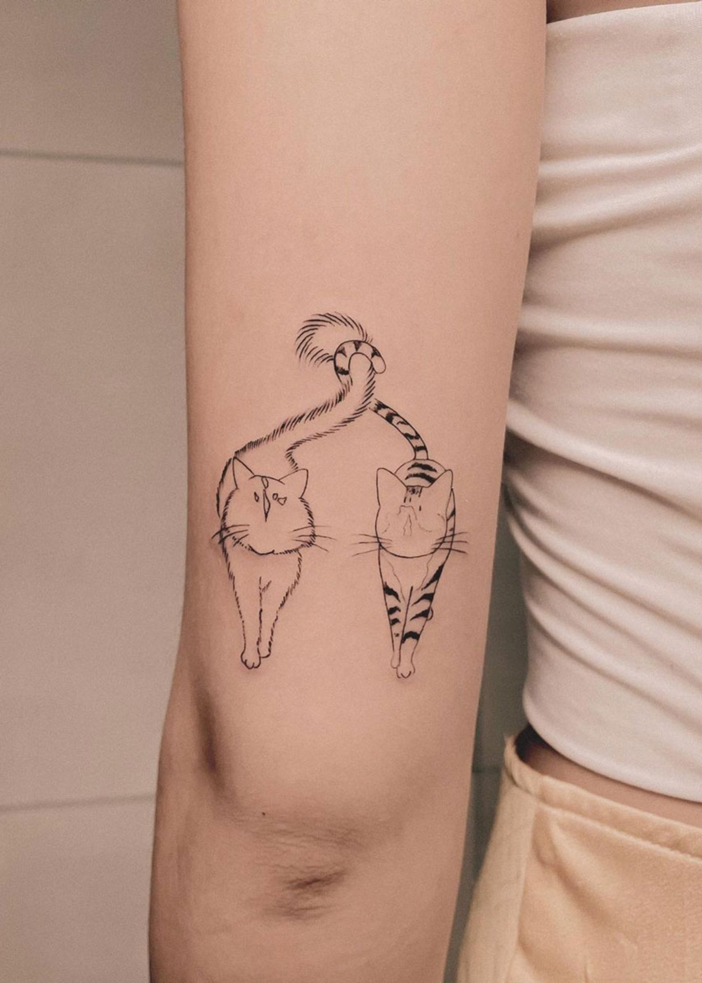 Tatuaje de gatos
