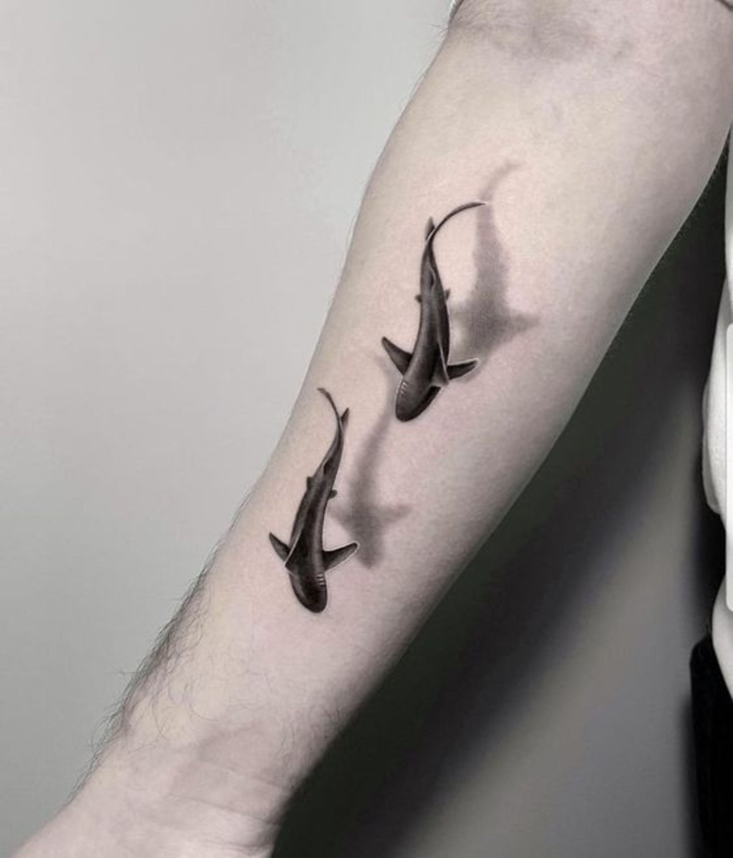 Tatuaje de tiburones mujer