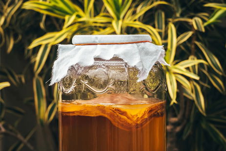 Kombucha: qué beneficios tiene utilizarla para la piel