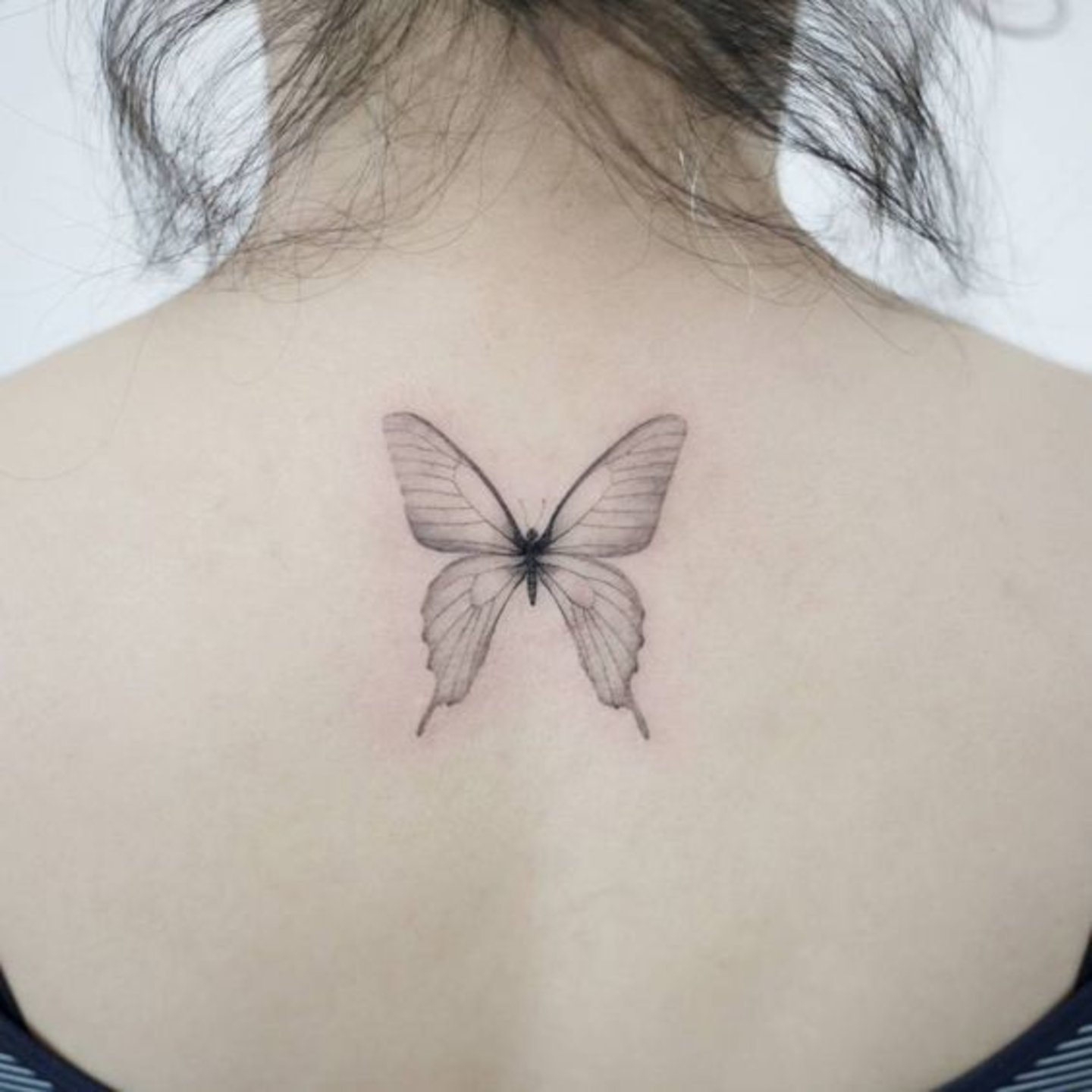 Mariposa espalda