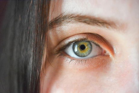 C贸mo recuperar pelos de las cejas: todos los m茅todos para hacerlo C贸mo recuperar pelos de las cejas: todos los m茅todos para hacerlo