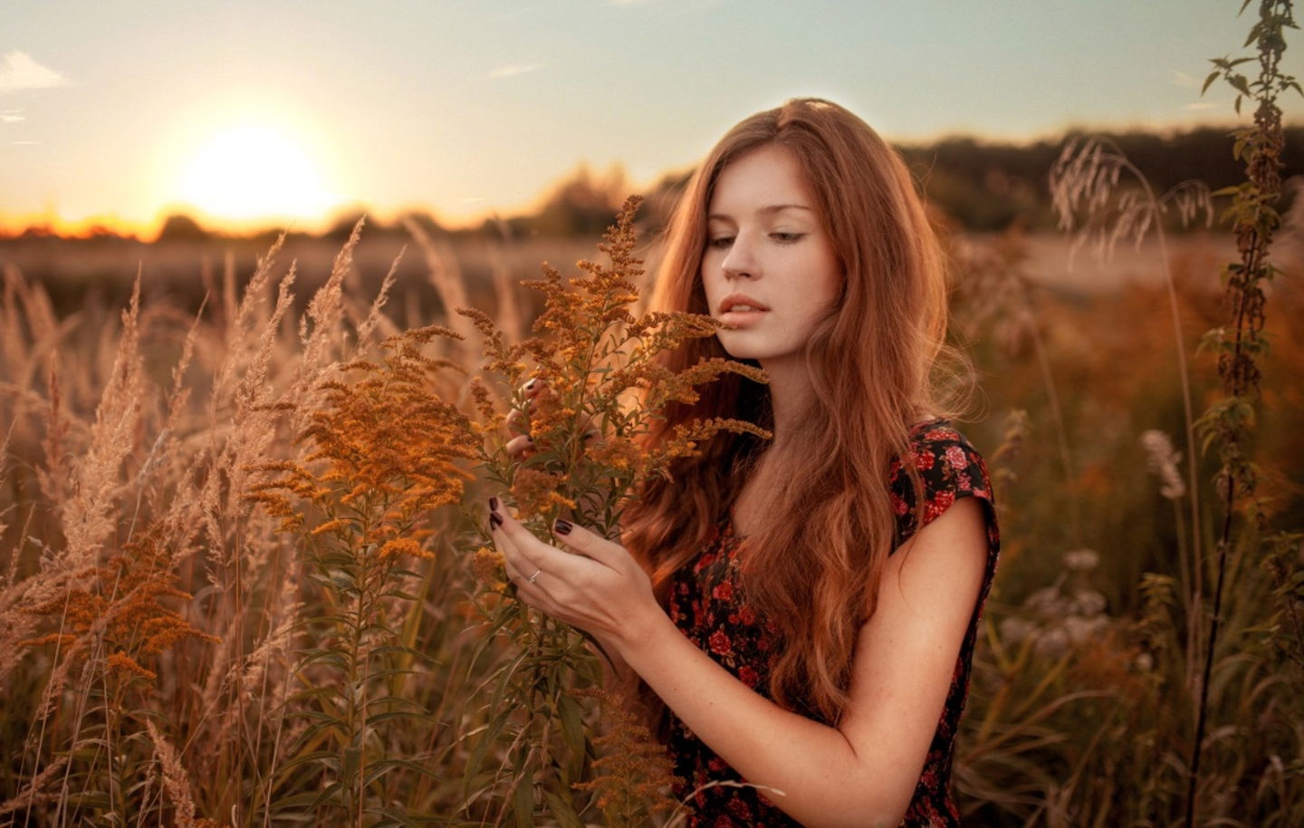 productos naturales para el cabello