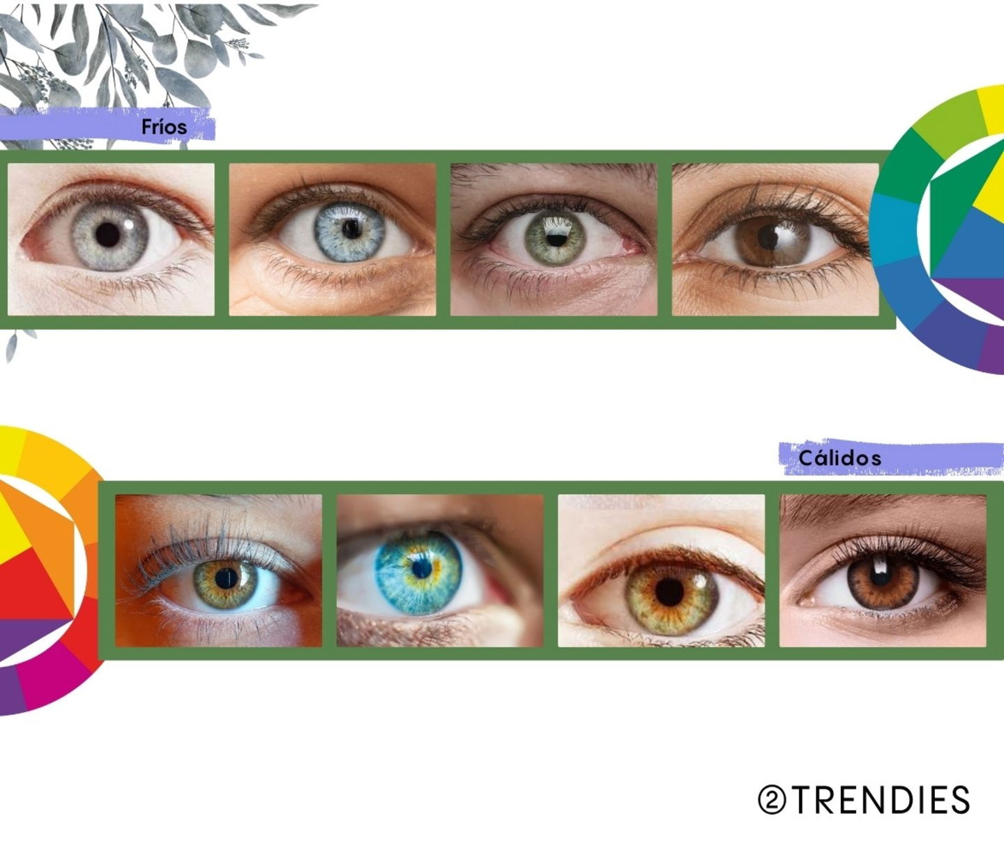 colorimetría temperatura color ojos