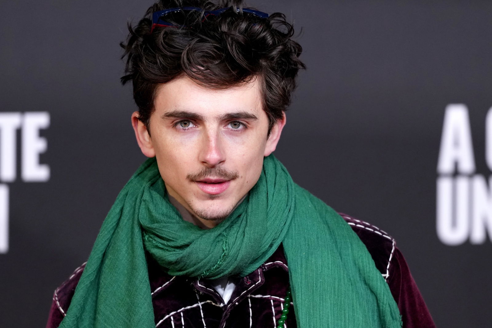 Timothe Chalamet
