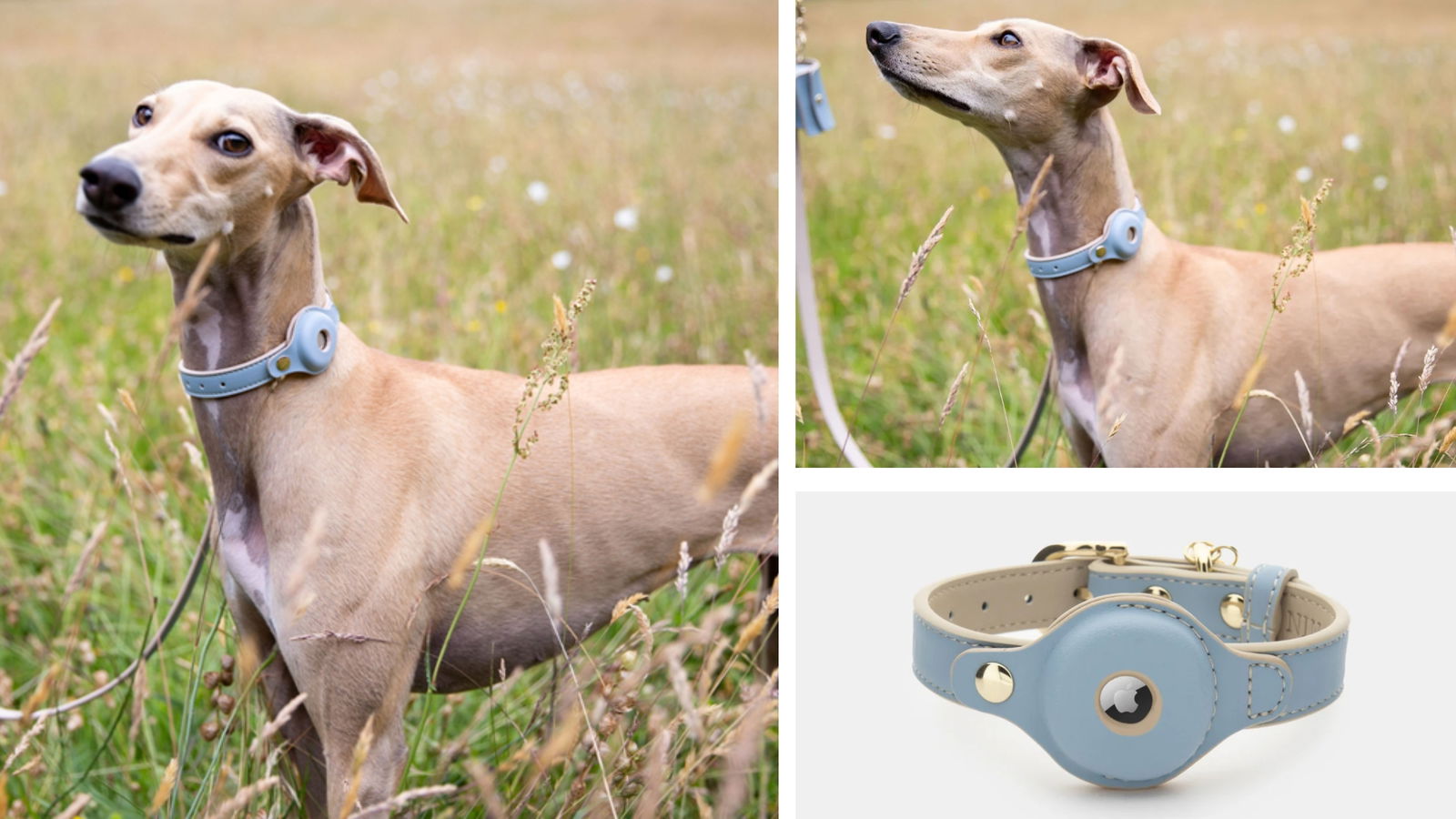 Nina Woof , Collar Cupernico