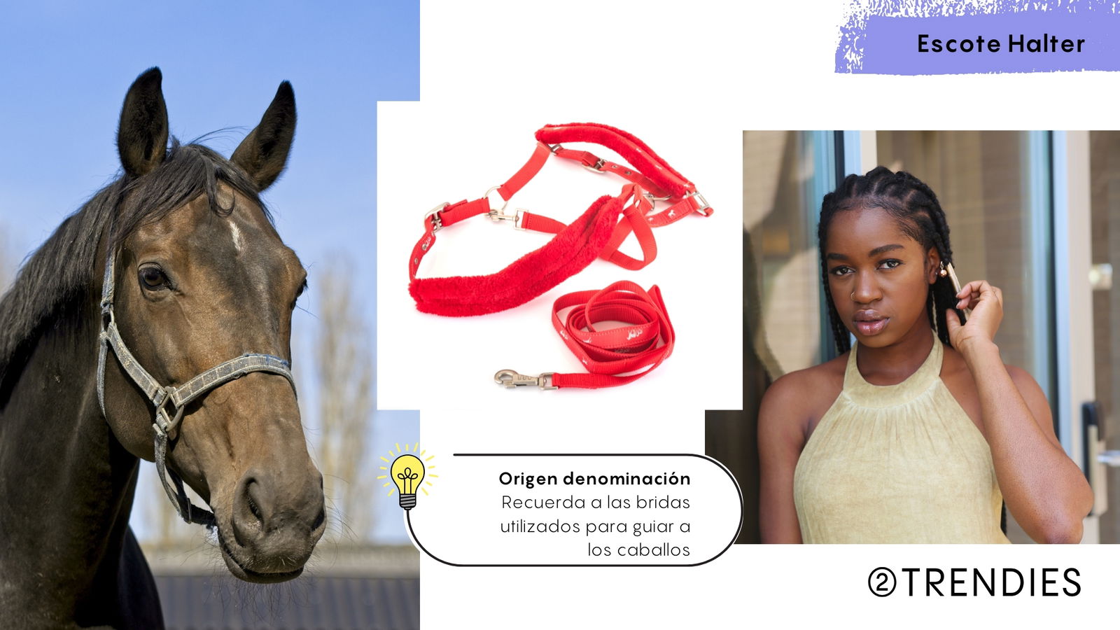 Origen nombre escote halter