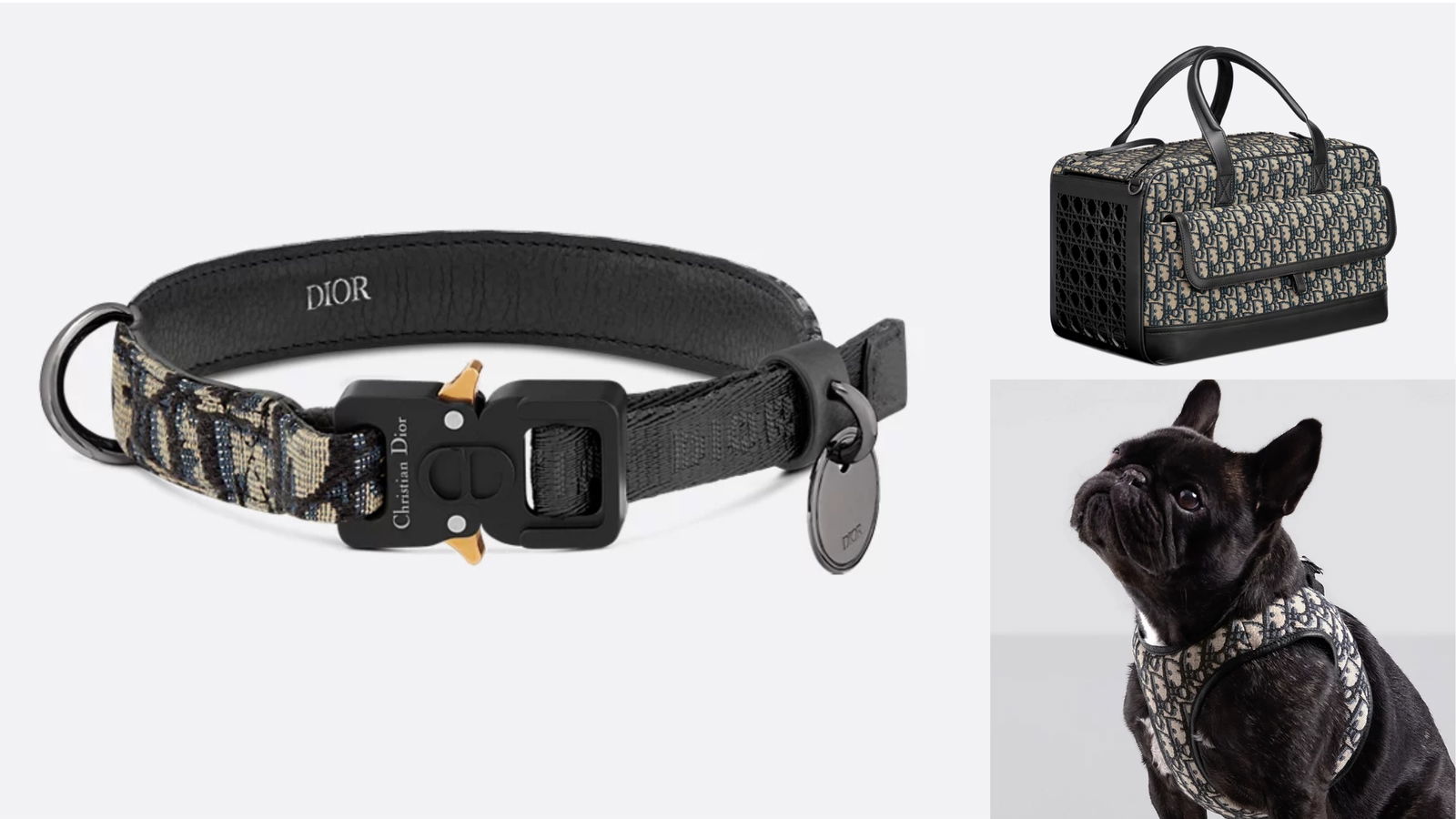 Accesorios mascotas Dior