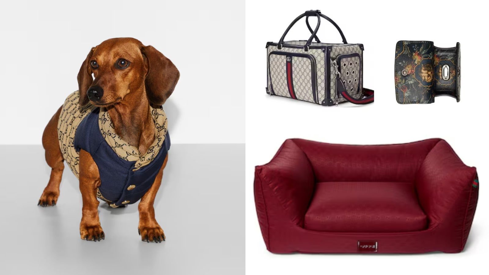 Accesorios mascotas Gucci