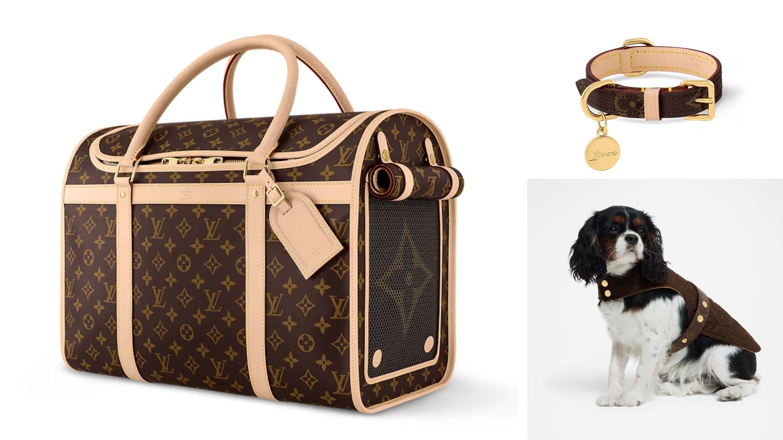 Accesorios mascotas Louis Vuitton