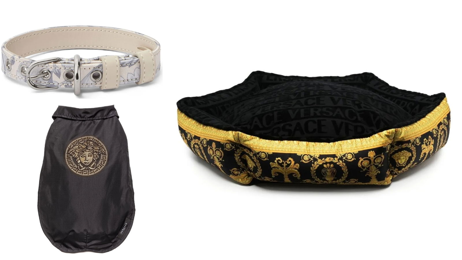 Accesorios mascotas Versace