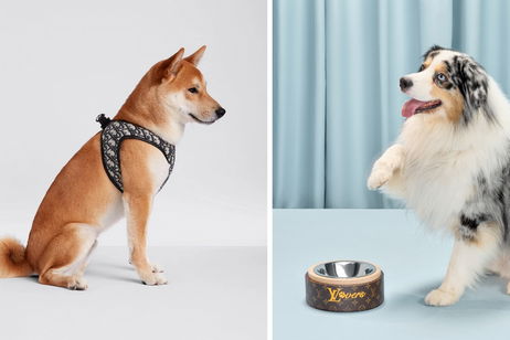 Accesorios de lujo para mascotas: las marcas más exclusivas