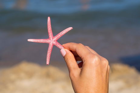 15 ideas de uñas elegantes para verano que van con todo (y quedan bien tengas la edad que tengas) 15 ideas de uñas elegantes para verano que van con todo (y quedan bien tengas la edad que tengas)