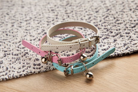 Collares con estilo para salir a celebrar el Día Mundial del Perro Collares con estilo para salir a celebrar el Día Mundial del Perro