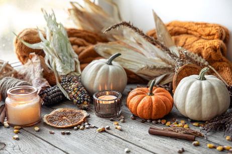 Decoración de otoño 2025: setas y calabazas convierten tu casa en un refugio encantado Decoración de otoño 2025: setas y calabazas convierten tu casa en un refugio encantado