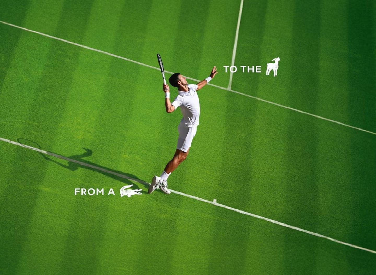 Lacoste sustituye el icónico cocodrilo por una cabra para celebrar a Djokovic como GOAT