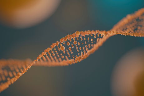 ¿Qué son los péptidos y por qué deberían estar en tus cosméticos?