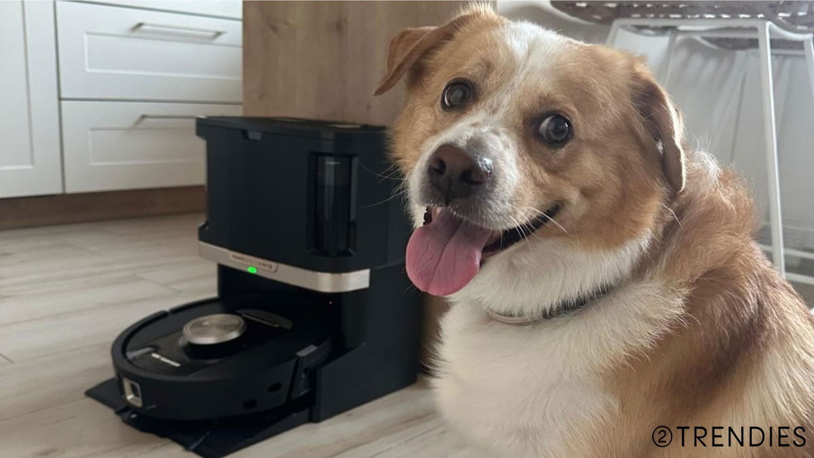 Probamos el Shark PowerDetect NeverTouch Pro: el robot aspirador ideal si tienes mascotas en casa
