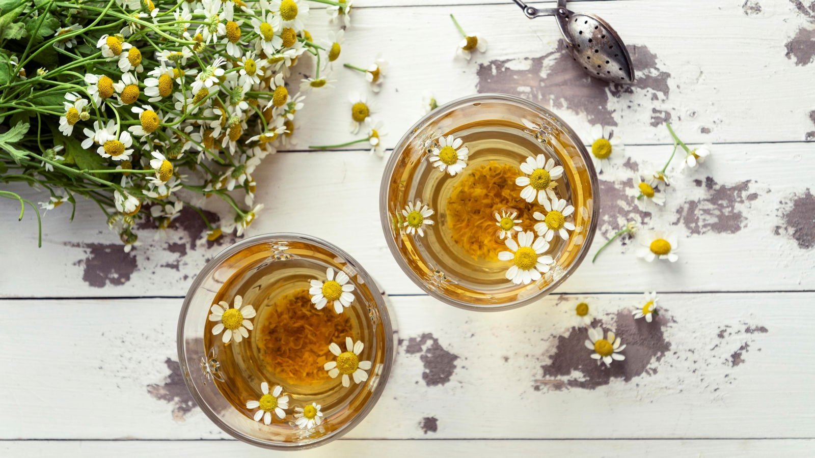Infusión camomila