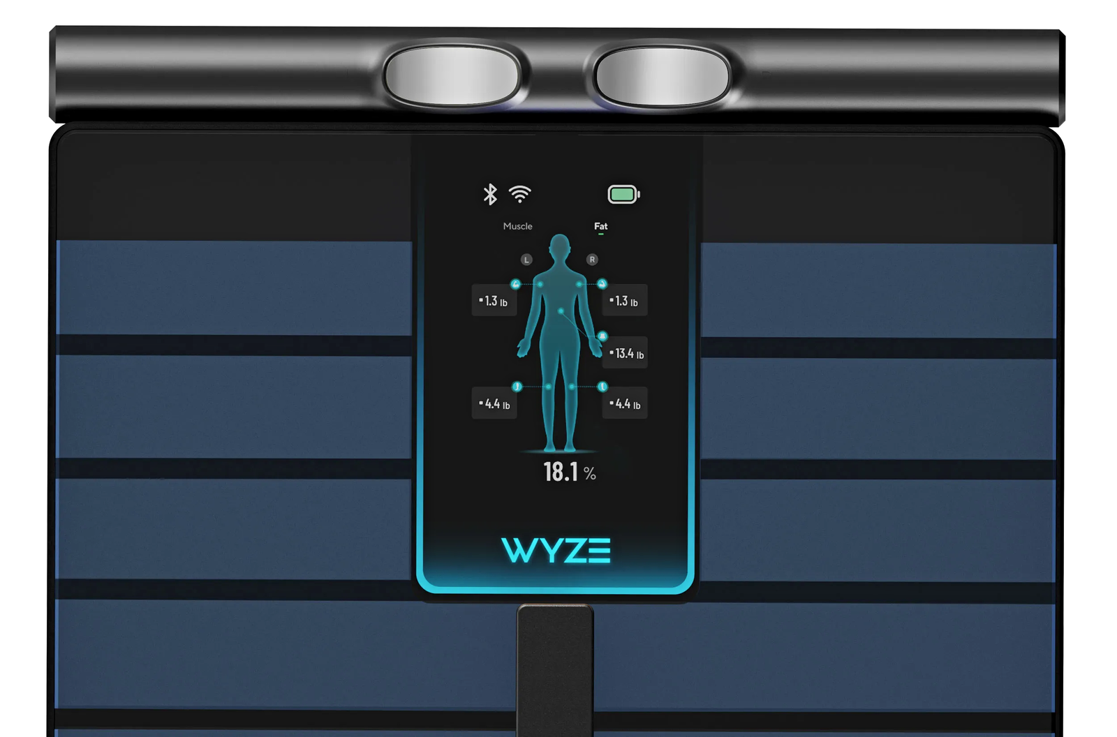 La pantalla a color muestra las mediciones de cada parte del cuerpo