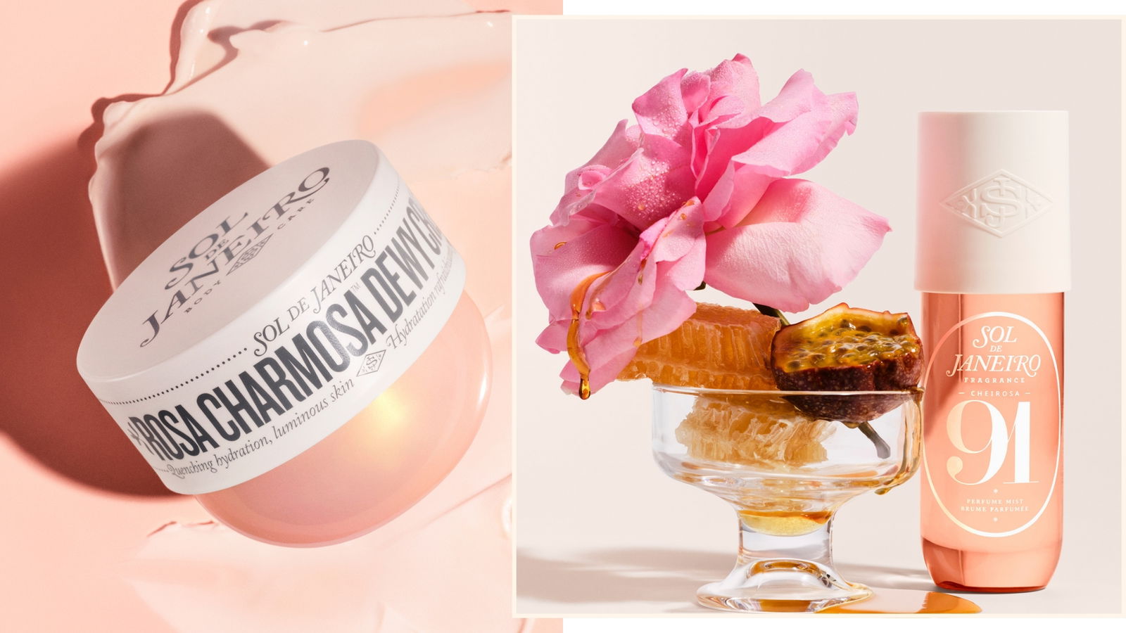 Rosa Charmosa - sol de Janeiro