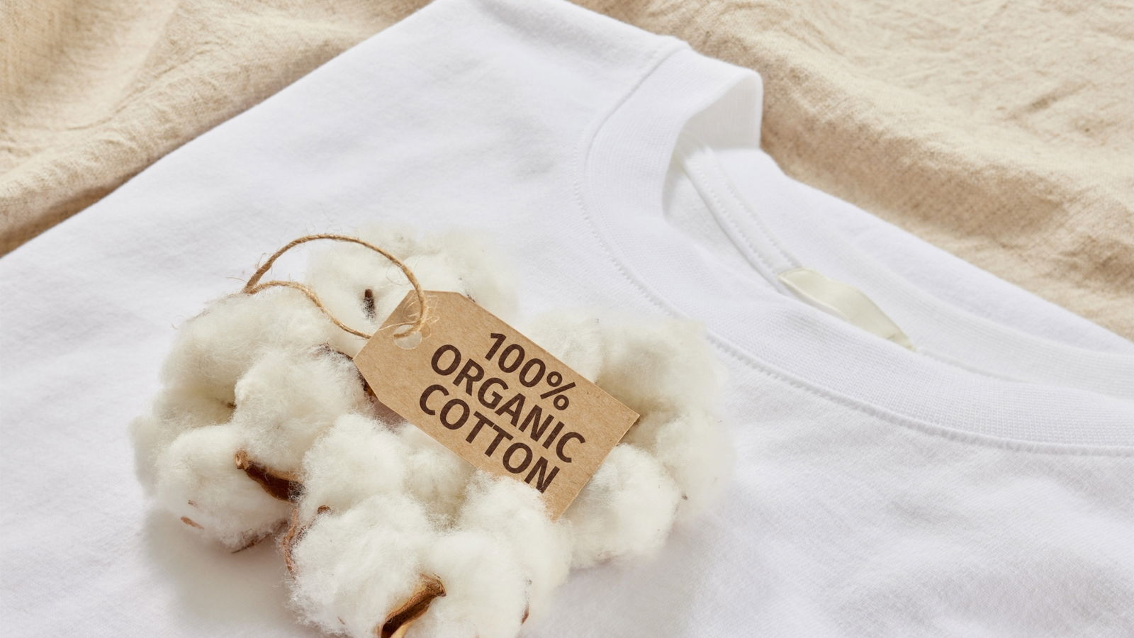 algodón orgánico