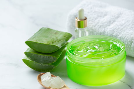 ¿Por qué el aloe vera sigue siendo el activo más buscado en belleza? ¿Por qué el aloe vera sigue siendo el activo más buscado en belleza?