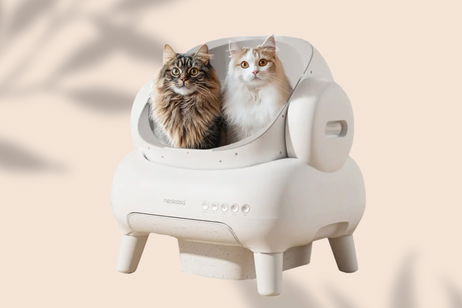 El arenero inteligente que vas a querer regalar a tu gato: es autolimpiable, amplio y mantiene los olores a raya