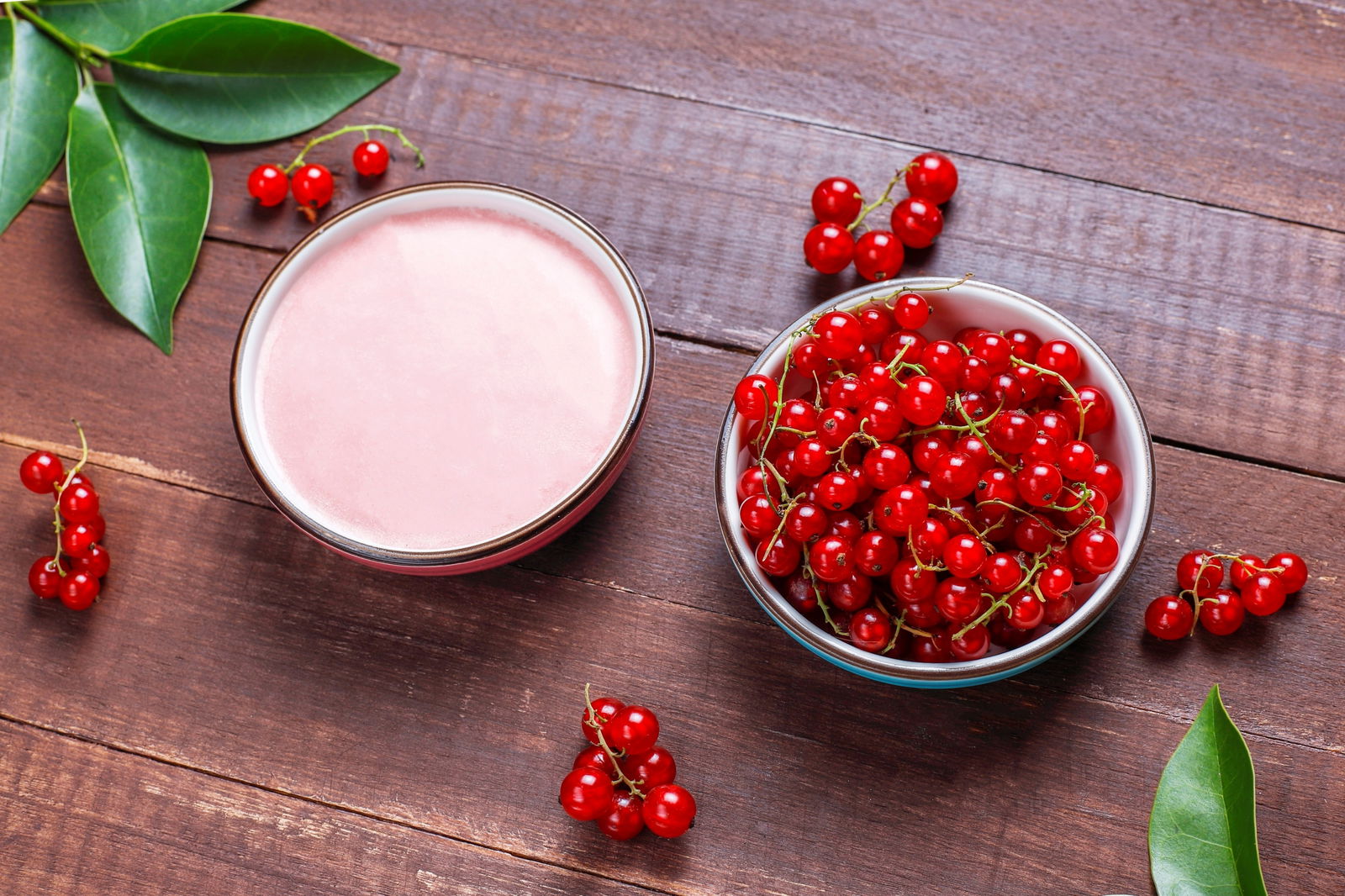 Extracto de schisandra